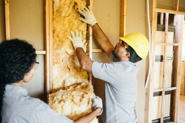 Best Attic Insulation Installation  in Clifton Forge, VA